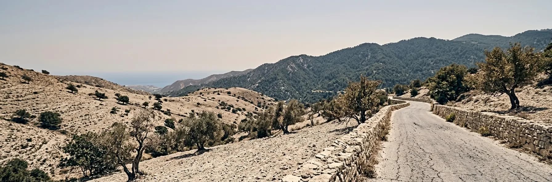 A road winding through dry stony hills in Cyprus among olive and carob trees, with forested ridges inland and the sea below.
