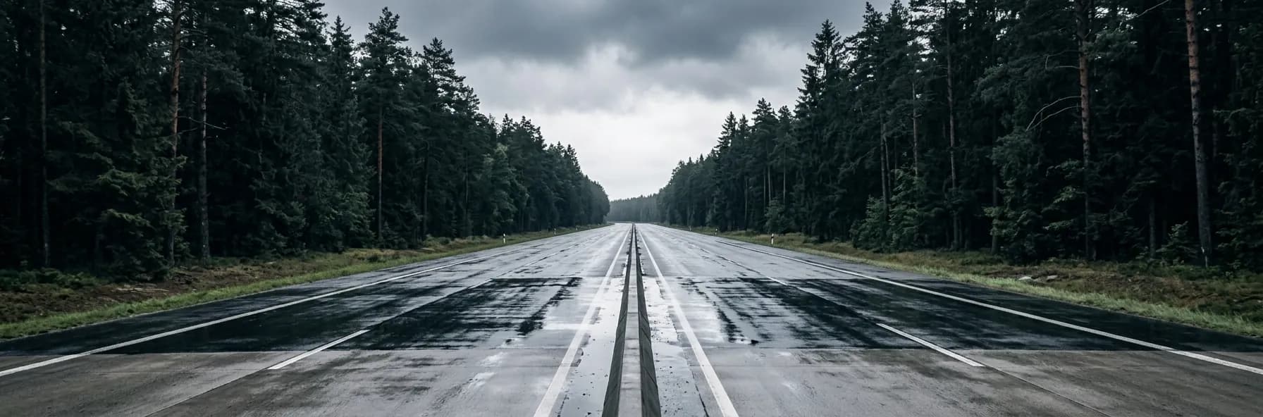 A wide wet autobahn cutting through dense dark conifer forest in Germany under heavy overcast, the asphalt reflecting the sky.
