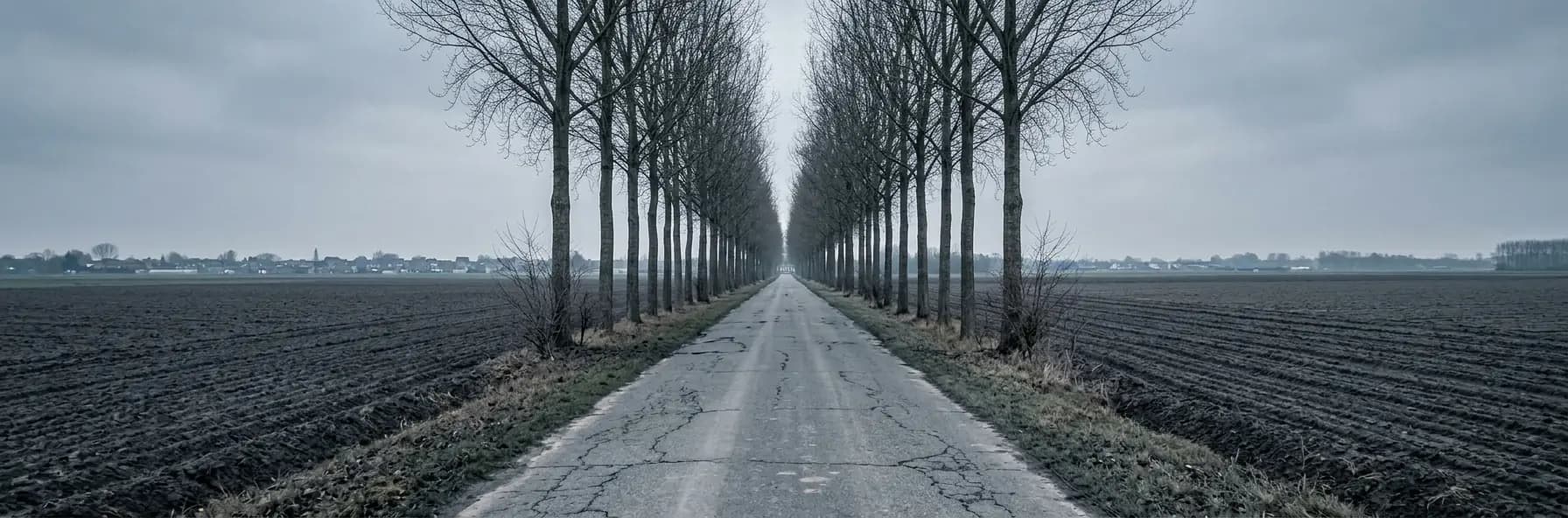A straight road lined with bare poplars running between ploughed fields in Flanders under heavy overcast.