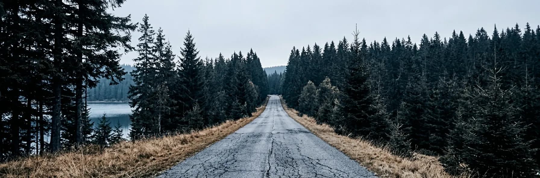 A straight road running into dense pine forest in Finland, a still lake visible through the trees, under flat pale northern light.