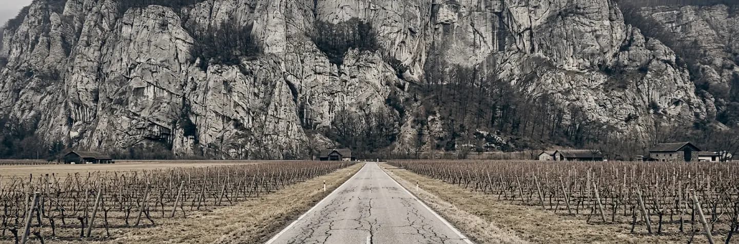 A straight road running between bare winter vineyard rows on the flat floor of the Rhine valley in Liechtenstein, with a grey limestone cliff rising abruptly behind.