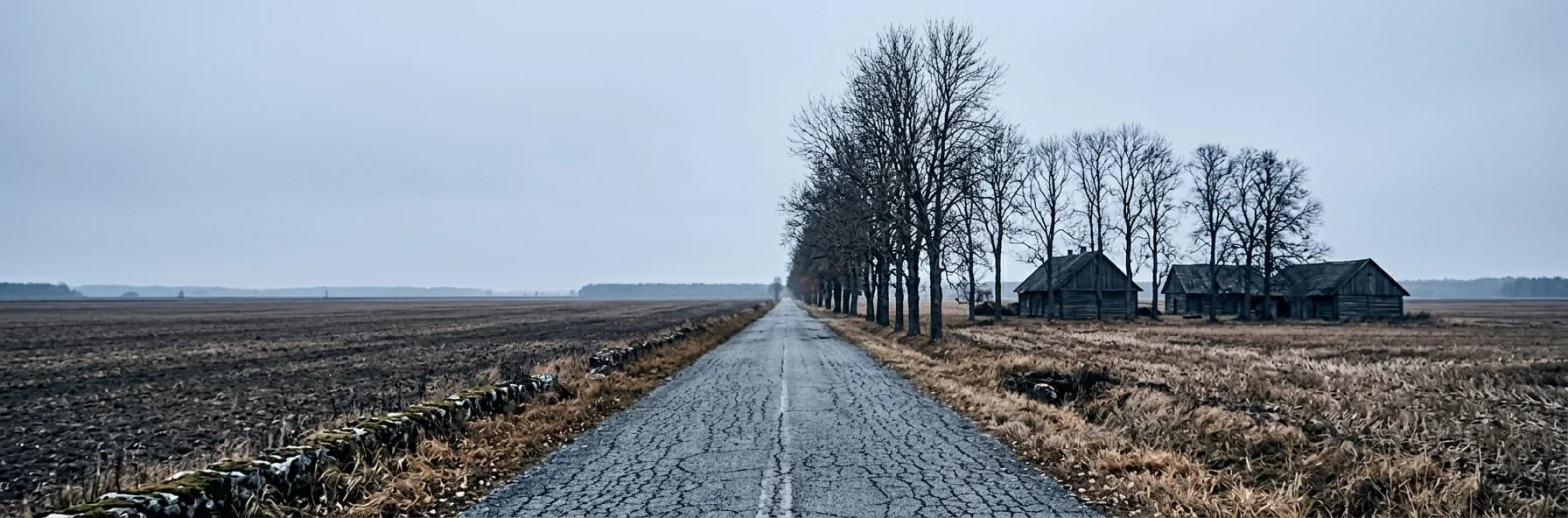 A straight road across flat open farmland in Lithuania past old wooden farmsteads and a line of bare trees, under a low grey sky.