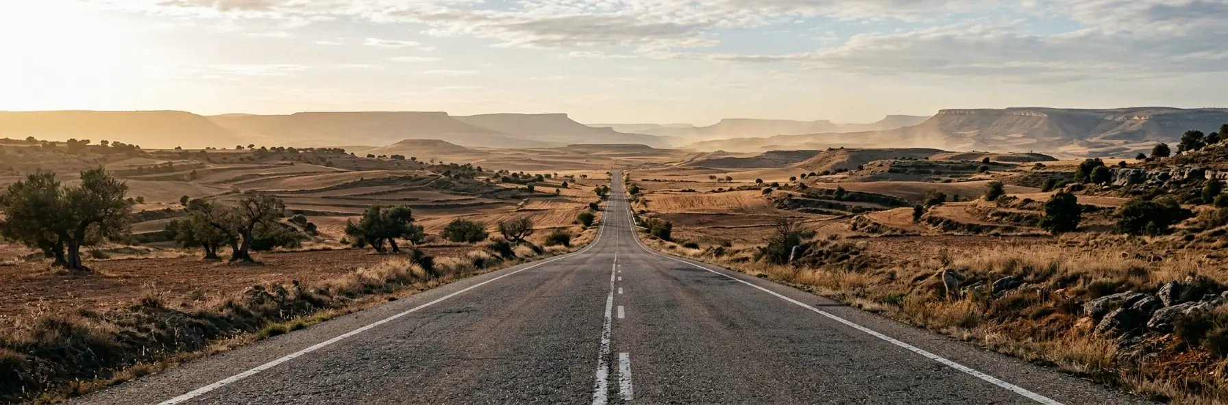 A long straight road across dry open country in Spain with scattered olive trees and flat-topped ridges on the horizon in hazy light.